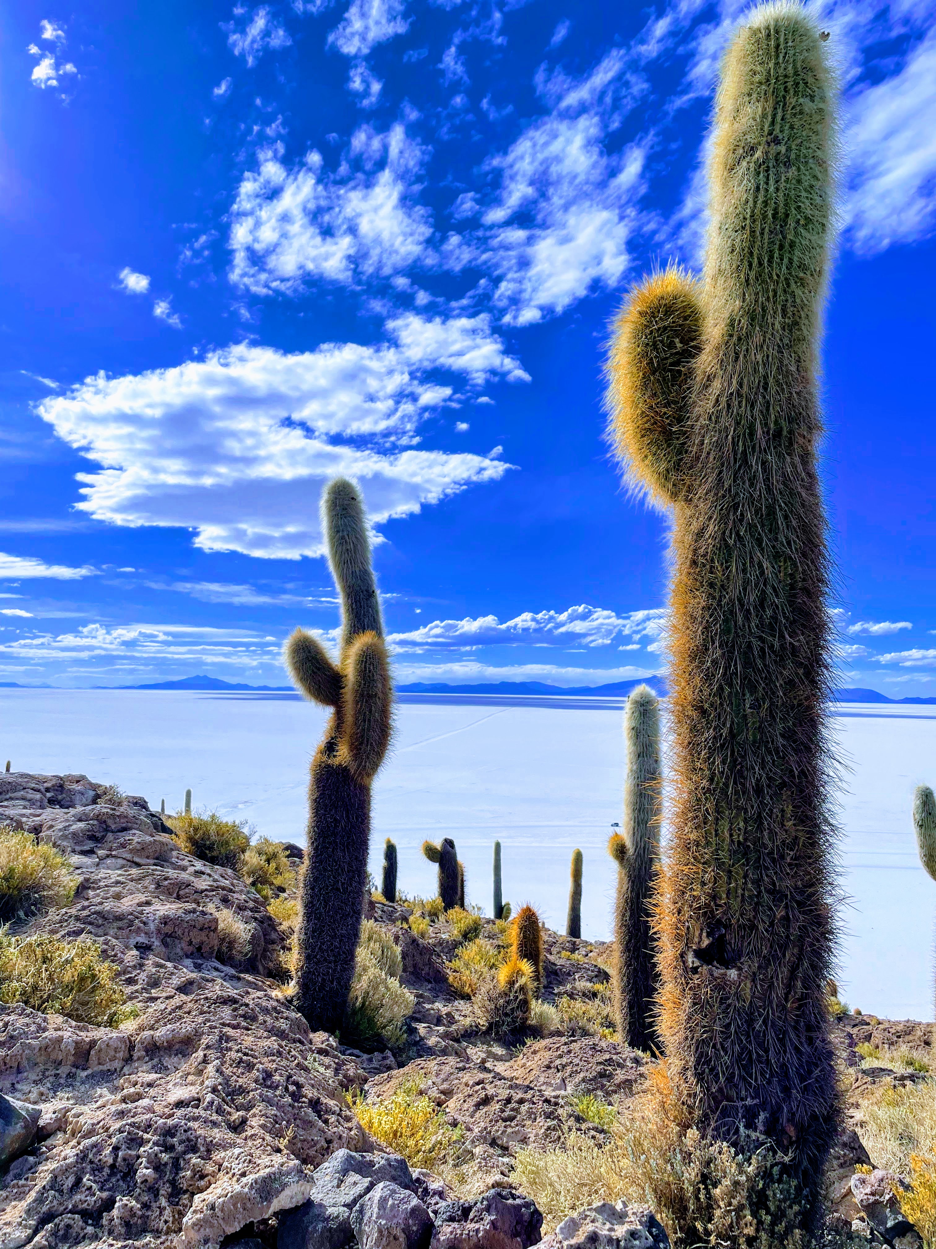 Field team sampling brines