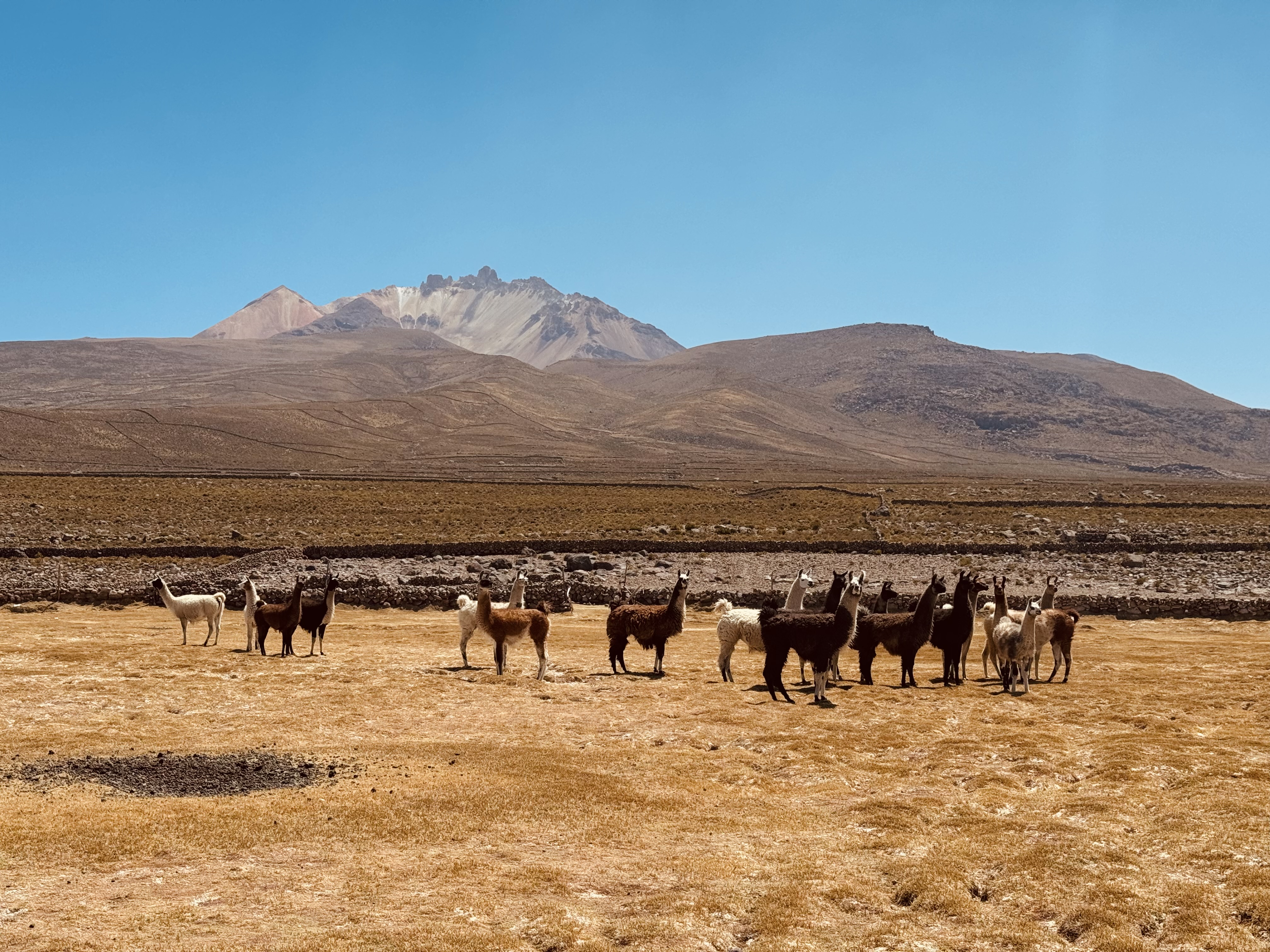 Field team sampling brines