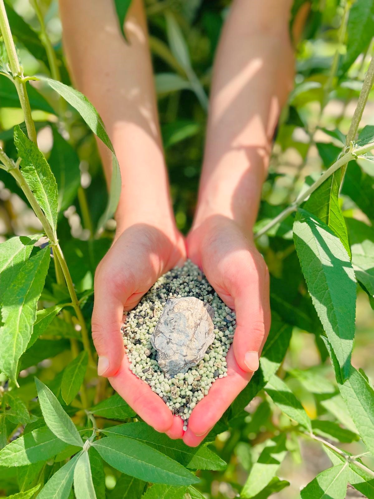 Phosphate Rocks and Fertilizers cover